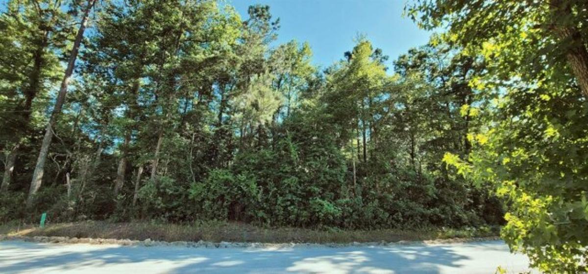 Picture of Residential Land For Sale in Conway, South Carolina, United States