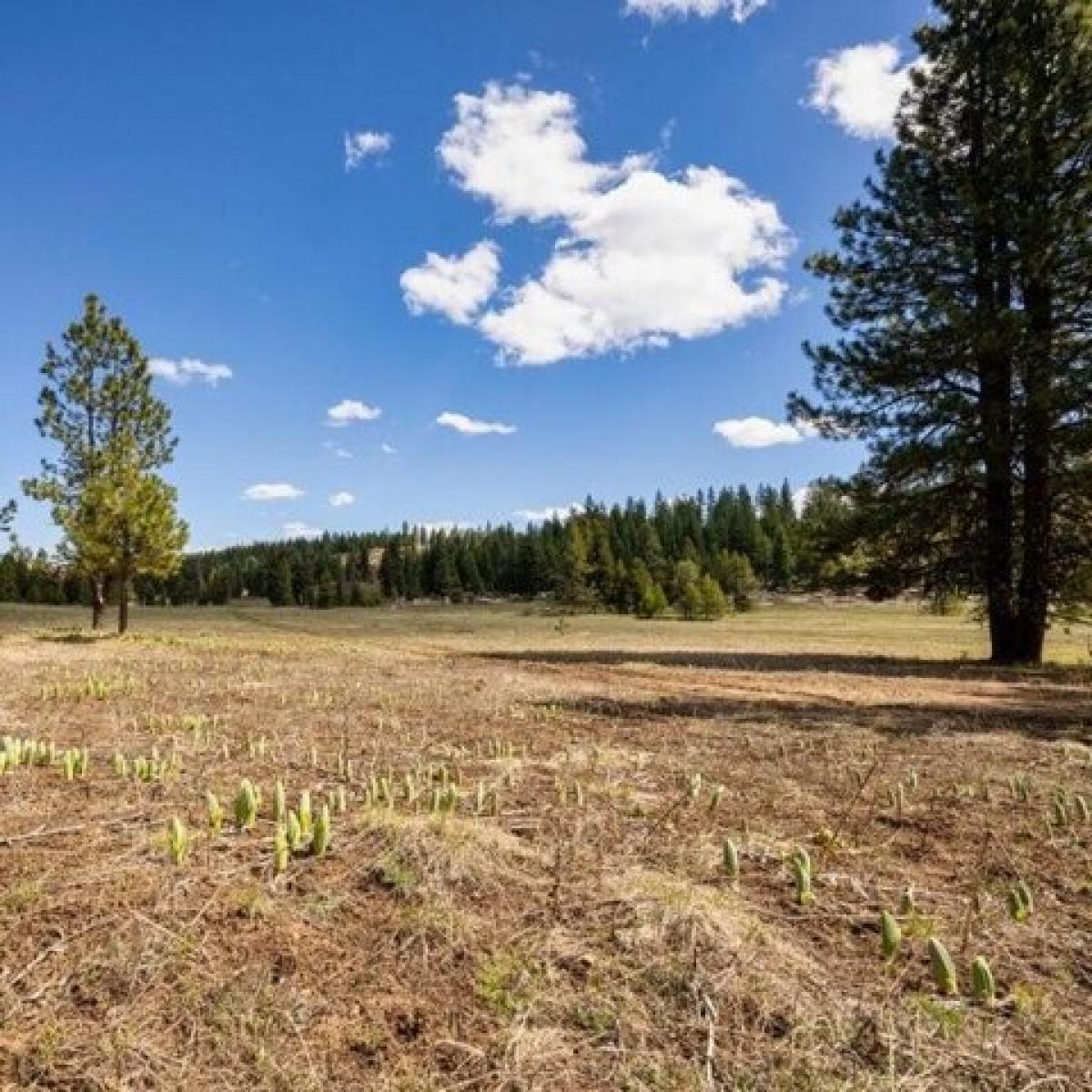 Picture of Residential Land For Sale in McCall, Idaho, United States