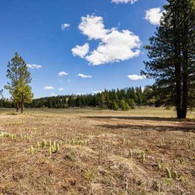 Residential Land For Sale in McCall, Idaho