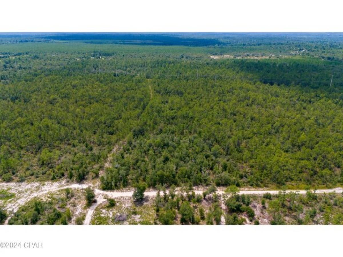 Picture of Residential Land For Sale in Fountain, Florida, United States