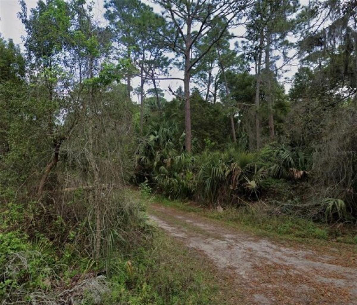 Picture of Residential Land For Sale in Deland, Florida, United States