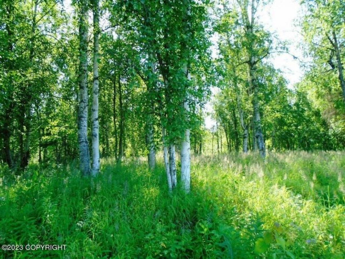 Picture of Residential Land For Sale in Talkeetna, Alaska, United States