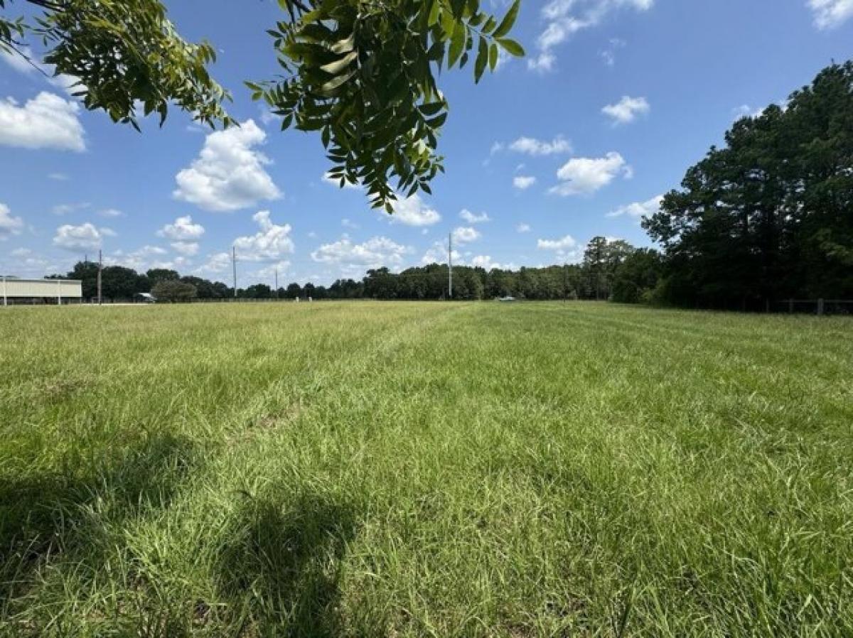 Picture of Residential Land For Sale in Sour Lake, Texas, United States