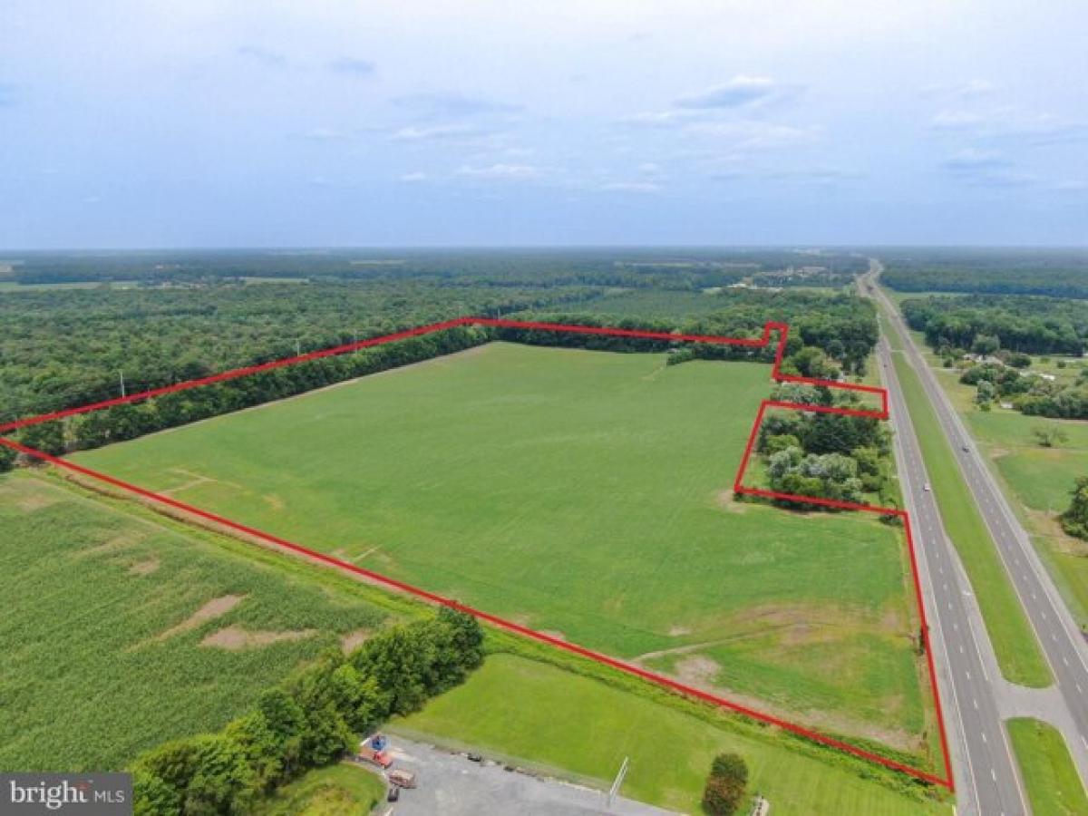 Picture of Residential Land For Sale in Greenwood, Delaware, United States