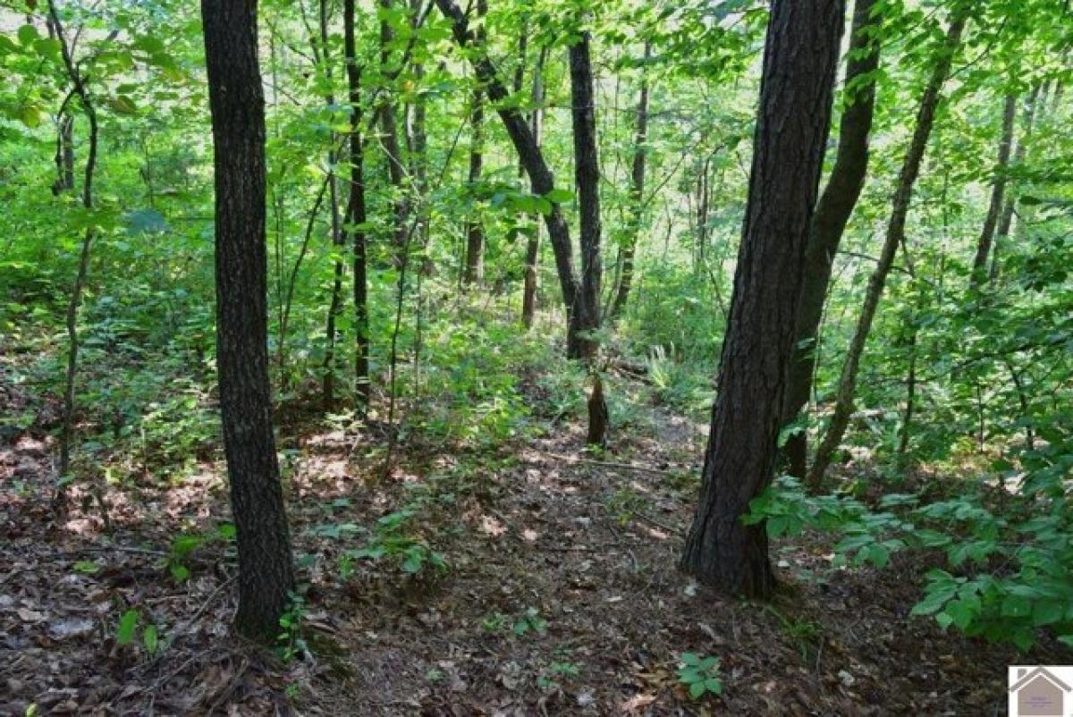 Picture of Residential Land For Sale in Murray, Kentucky, United States