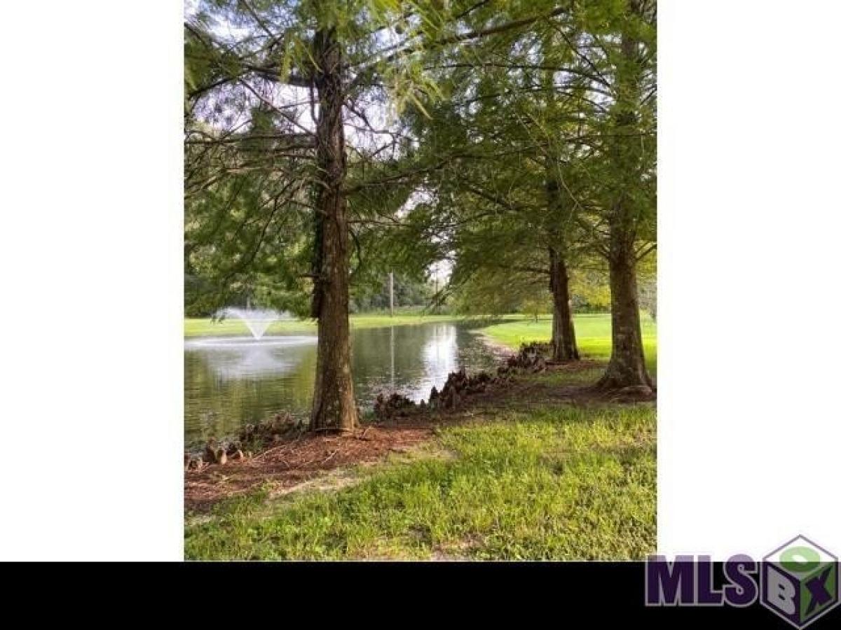 Picture of Residential Land For Sale in Jackson, Louisiana, United States