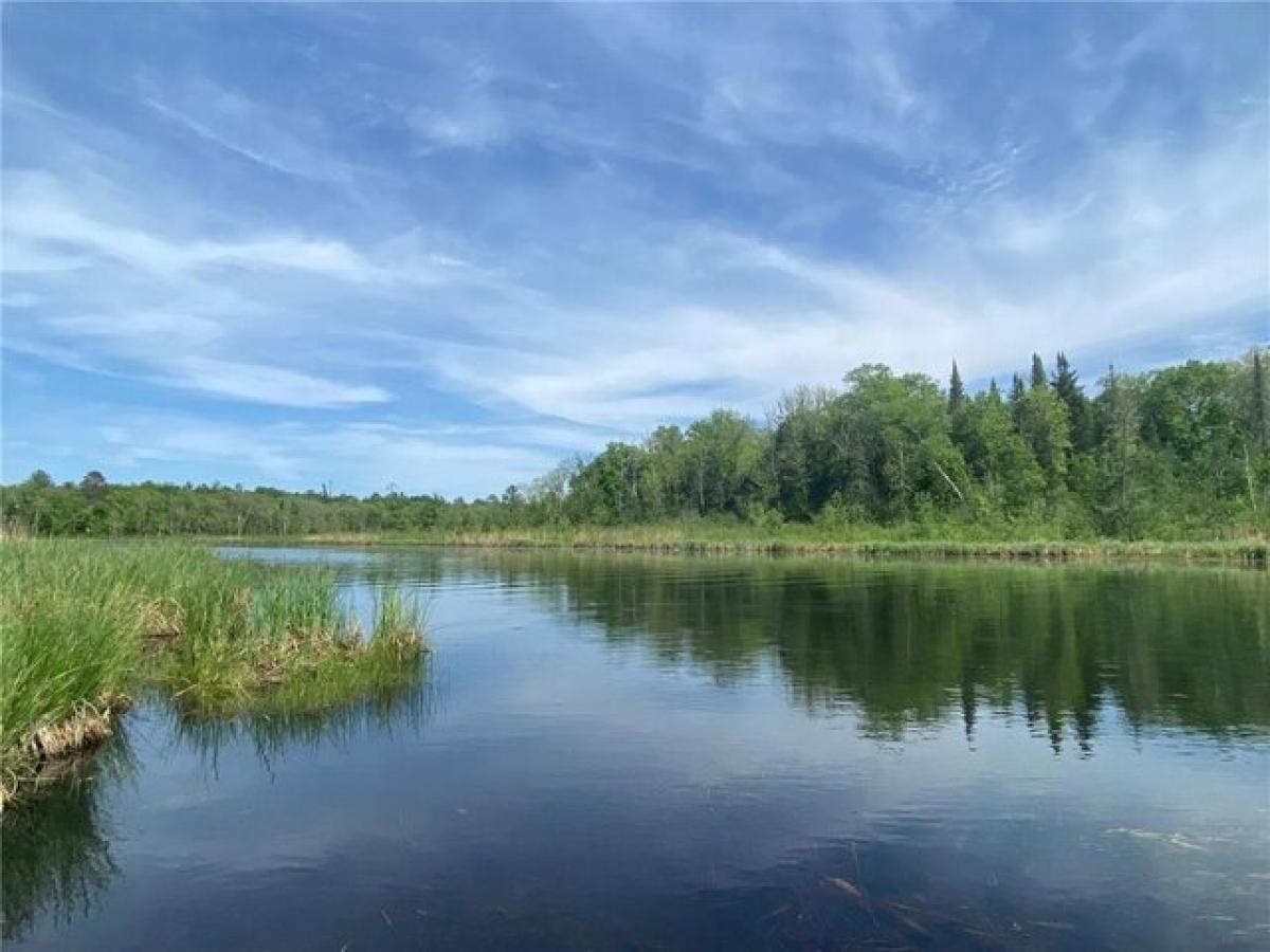 Picture of Residential Land For Sale in Backus, Minnesota, United States