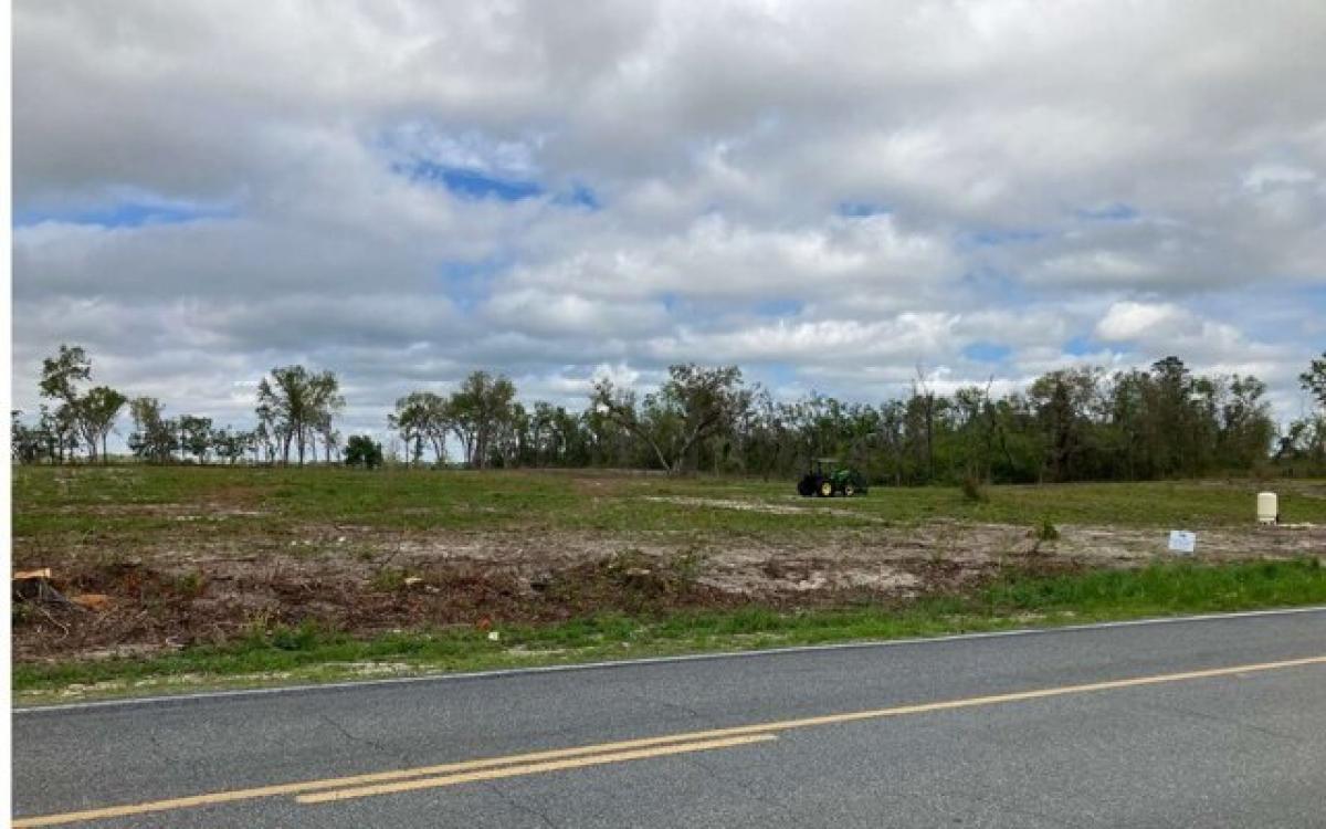 Picture of Residential Land For Sale in Live Oak, Florida, United States