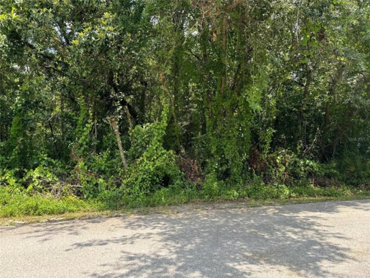 Picture of Residential Land For Sale in New Port Richey, Florida, United States