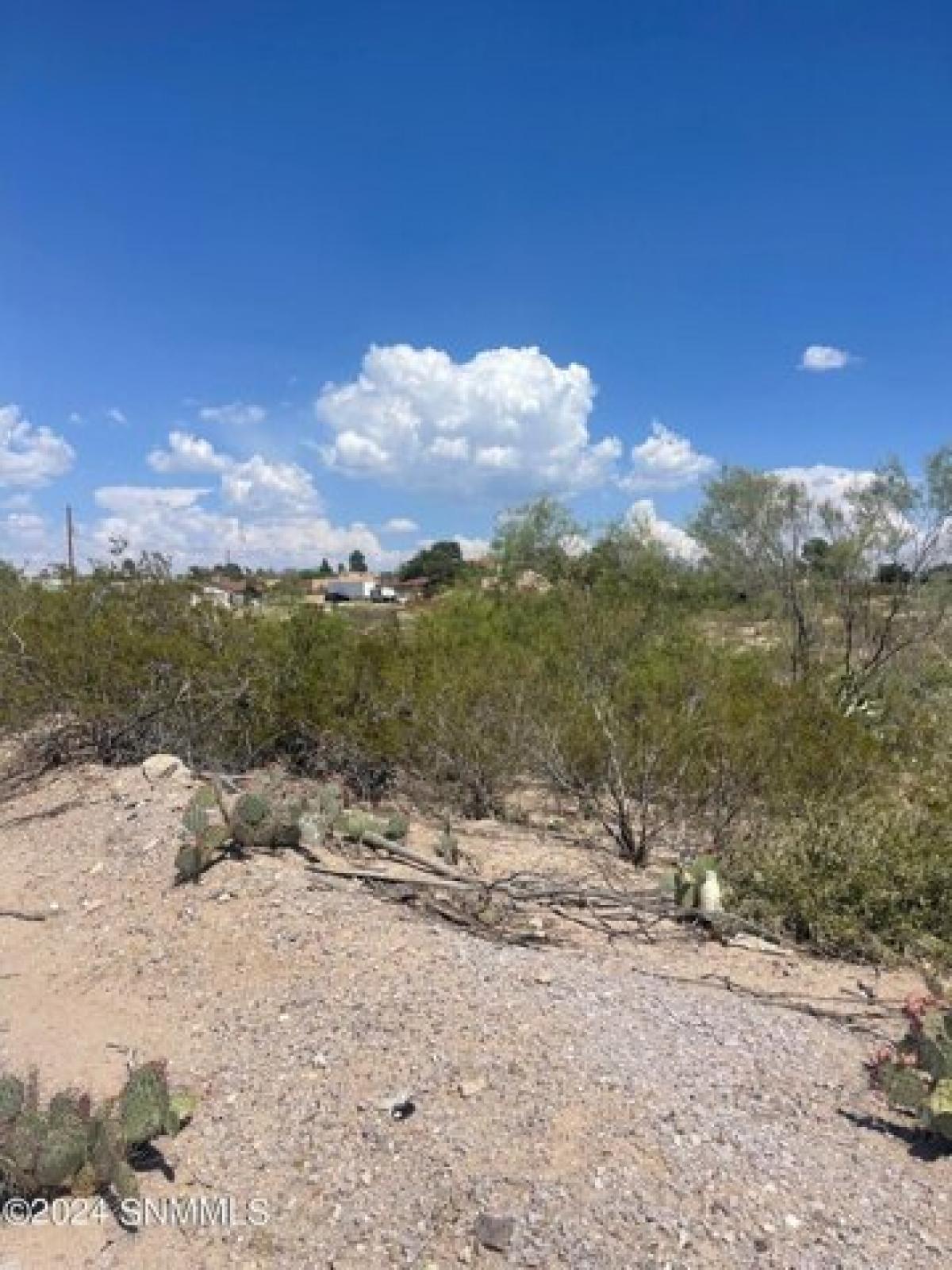 Picture of Residential Land For Sale in Las Cruces, New Mexico, United States