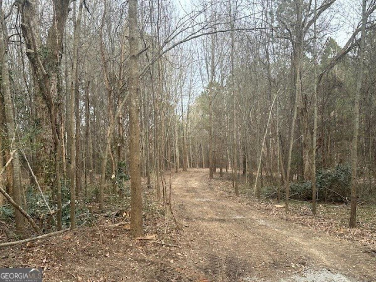 Picture of Residential Land For Sale in Milner, Georgia, United States