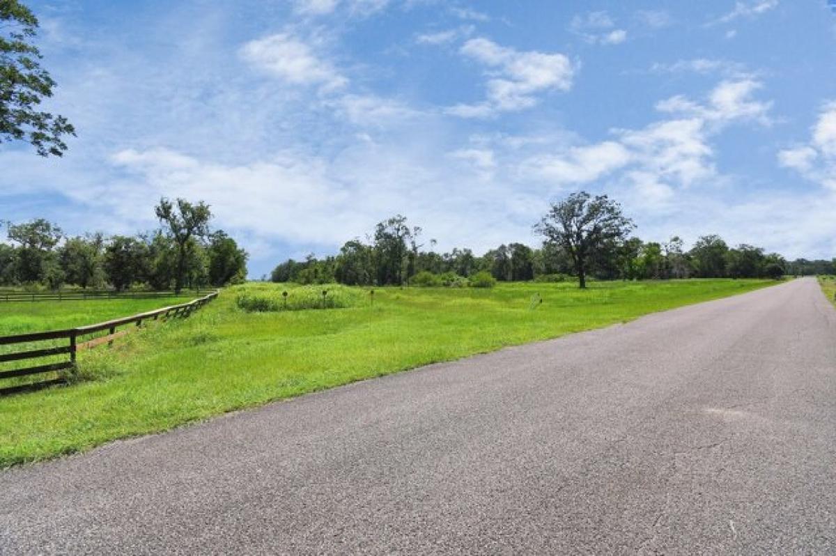 Picture of Residential Land For Sale in Rosharon, Texas, United States