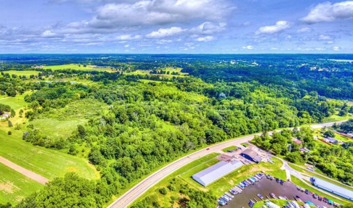 Picture of Residential Land For Sale in Brooklyn, Michigan, United States