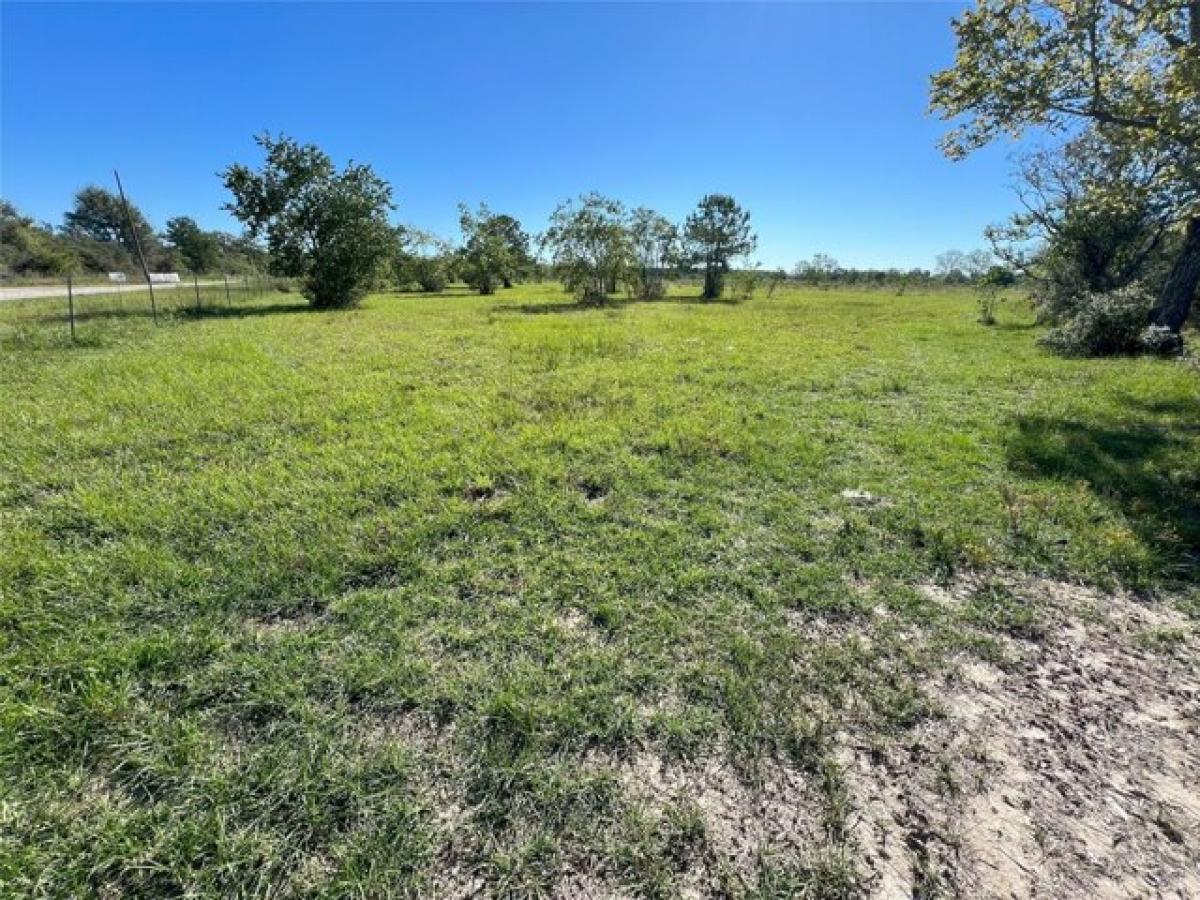 Picture of Residential Land For Sale in Sour Lake, Texas, United States