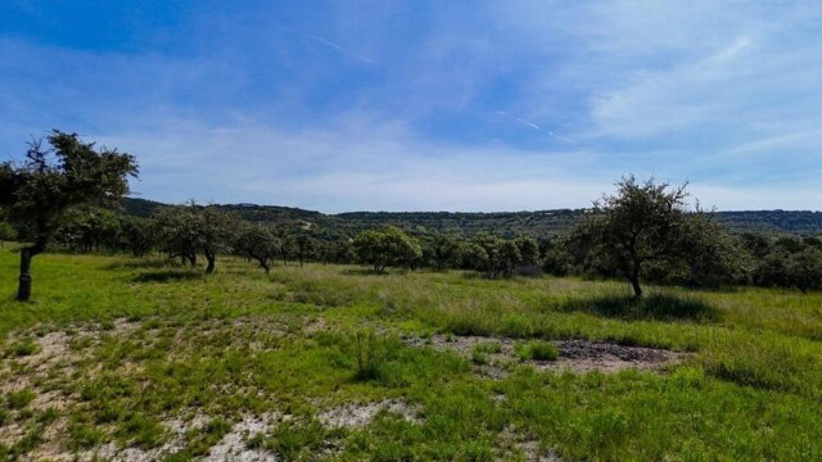 Picture of Residential Land For Sale in Wimberley, Texas, United States