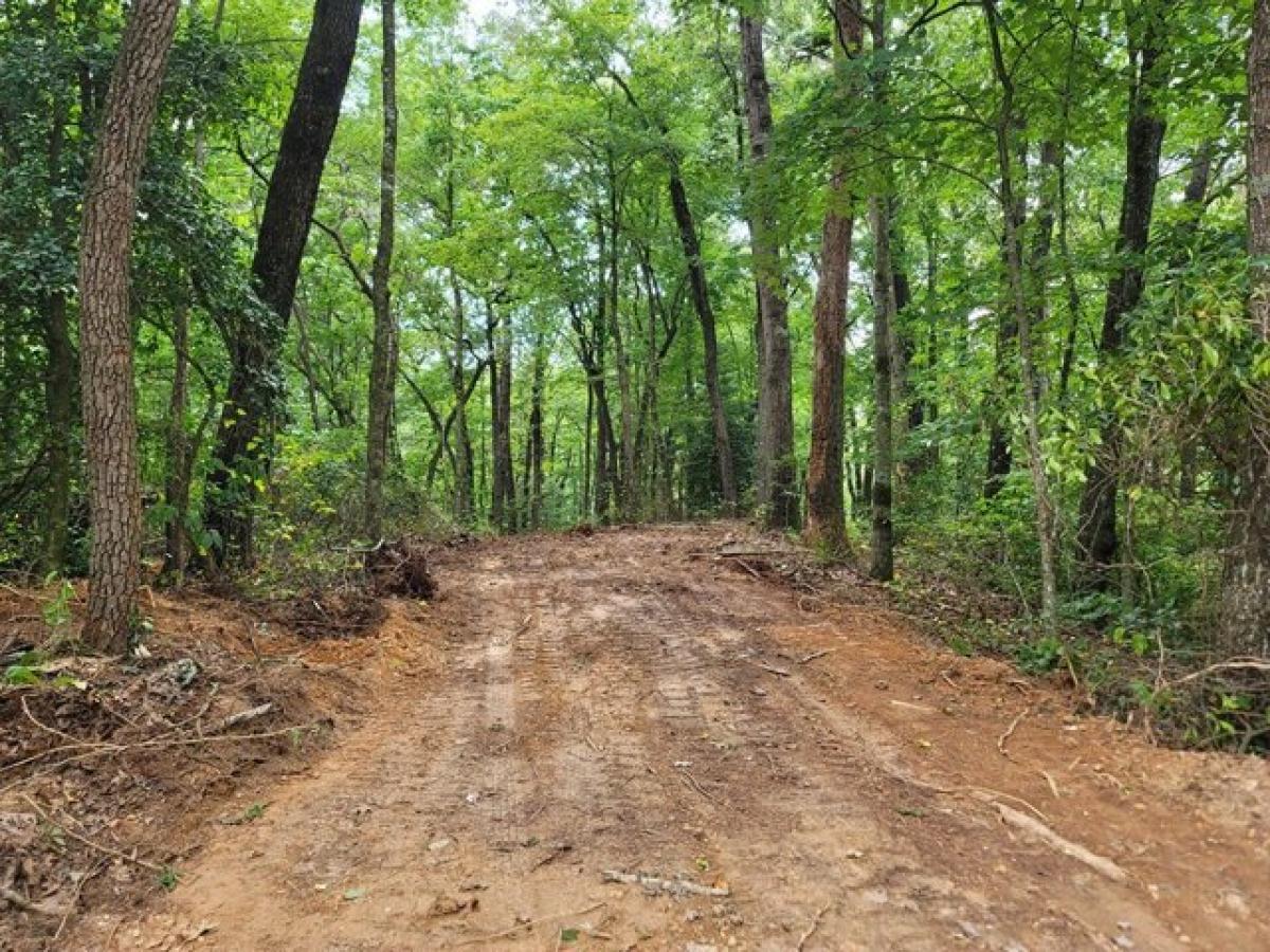 Picture of Residential Land For Sale in Andrews, North Carolina, United States