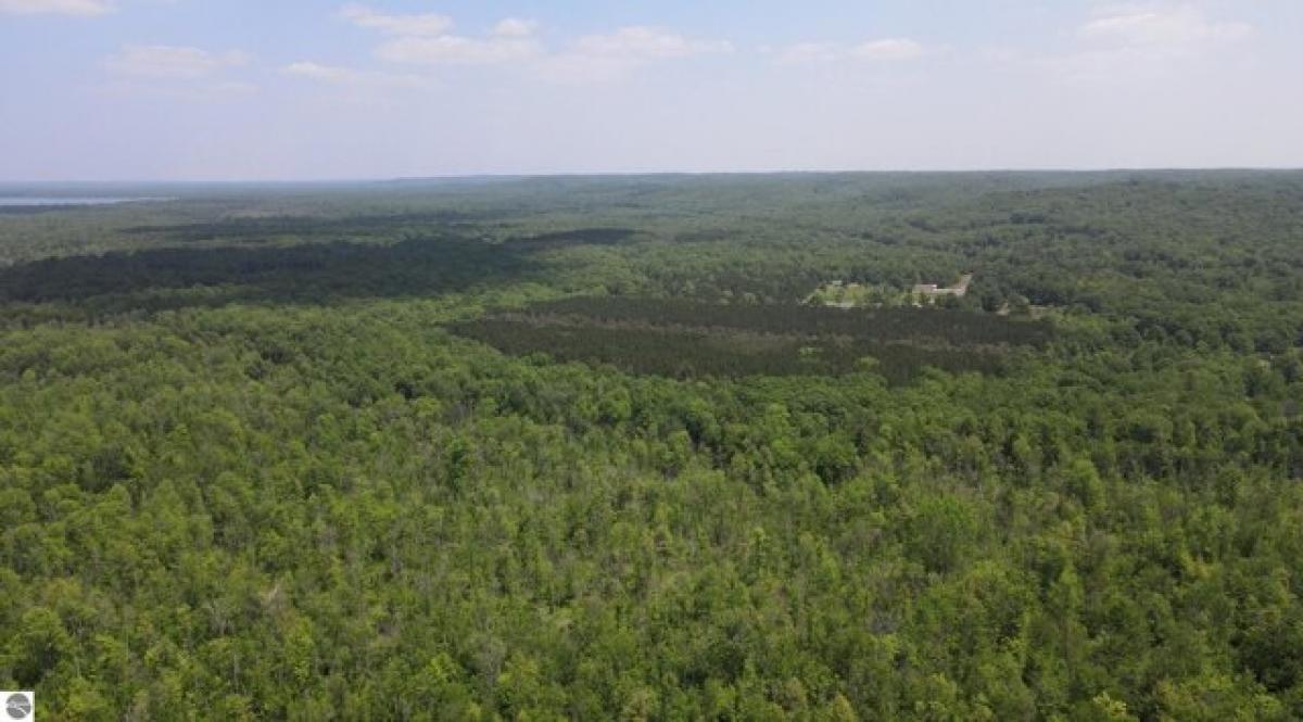 Picture of Residential Land For Sale in Thompsonville, Michigan, United States