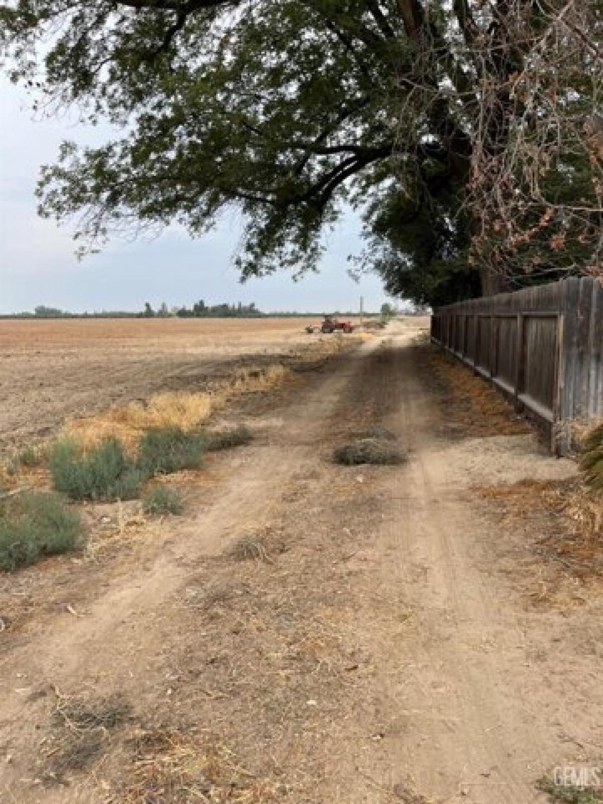 Picture of Residential Land For Sale in Bakersfield, California, United States