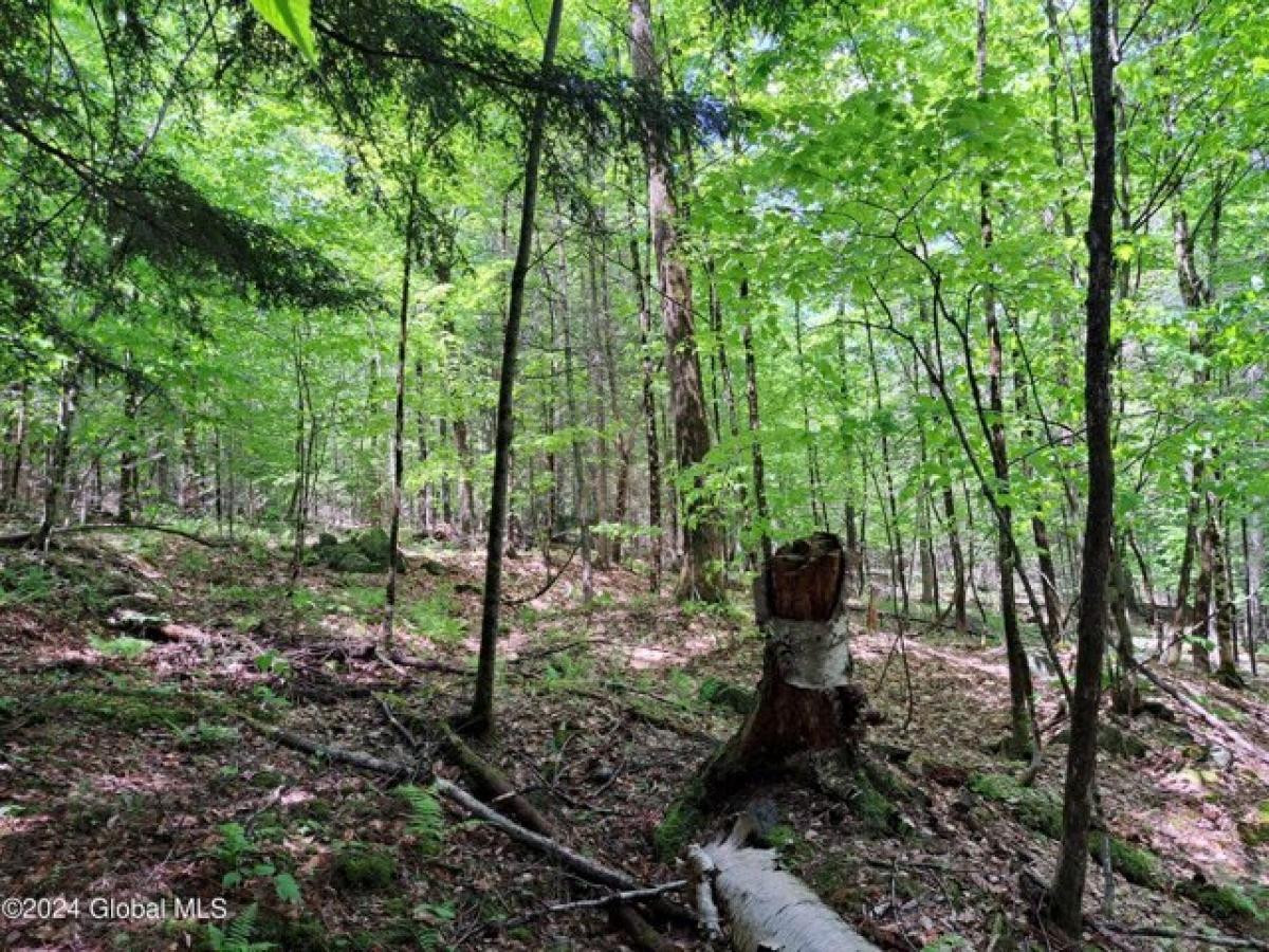 Picture of Residential Land For Sale in North Creek, New York, United States