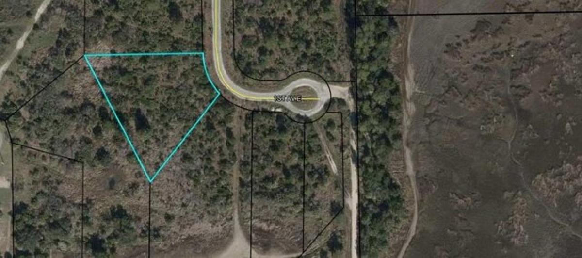 Picture of Residential Land For Sale in Horseshoe Beach, Florida, United States