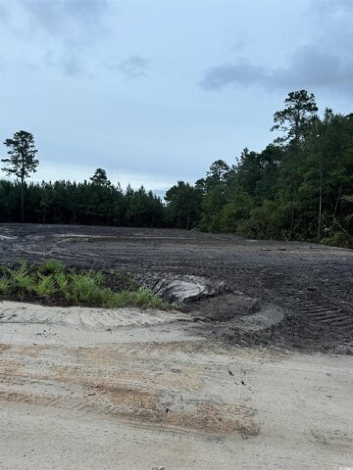 Picture of Home For Sale in Aynor, South Carolina, United States