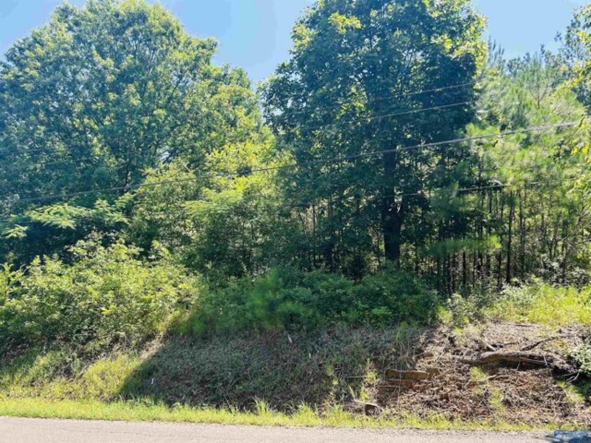 Picture of Residential Land For Sale in Scottsboro, Alabama, United States