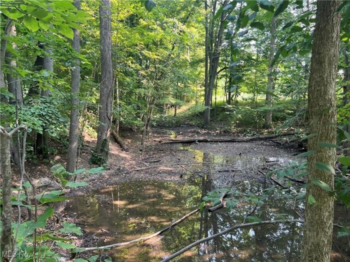 Picture of Residential Land For Sale in Spencer, Ohio, United States