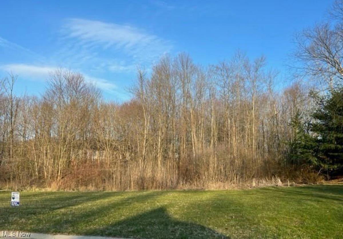 Picture of Residential Land For Sale in Canton, Ohio, United States