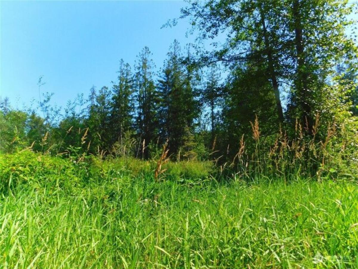 Picture of Residential Land For Sale in Snohomish, Washington, United States