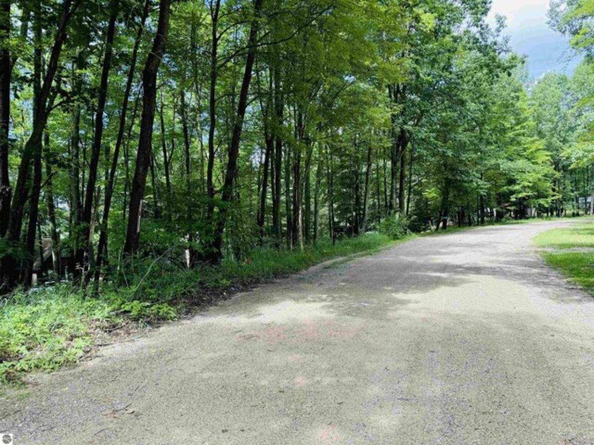 Picture of Residential Land For Sale in Leroy, Michigan, United States