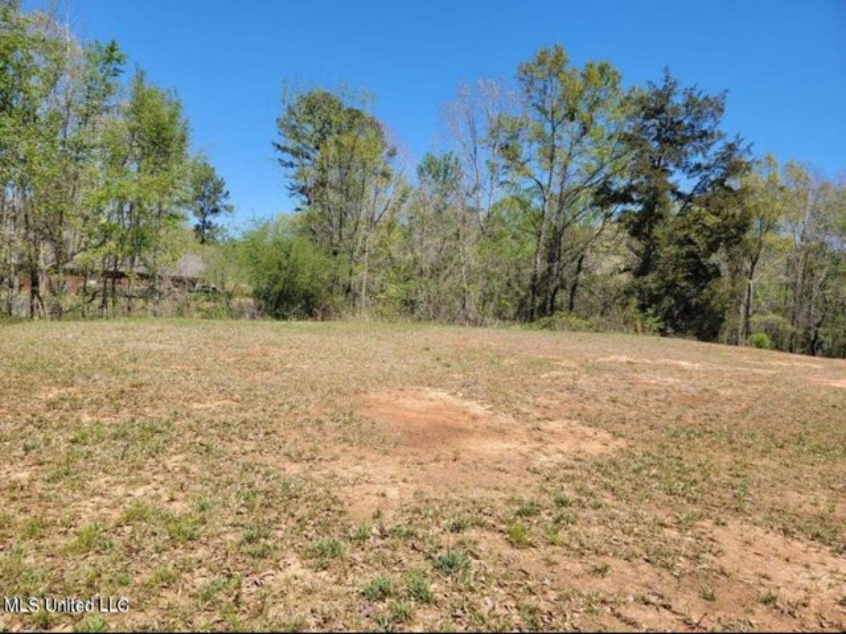 Picture of Residential Land For Sale in Florence, Mississippi, United States