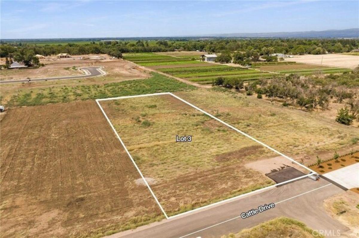 Picture of Residential Land For Sale in Chico, California, United States