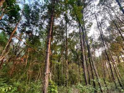 Residential Land For Sale in Bogue Chitto, Mississippi