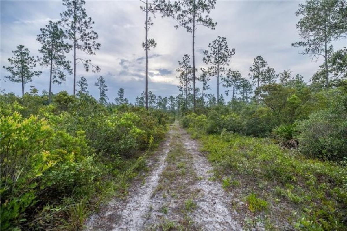 Picture of Residential Land For Sale in Fort Mccoy, Florida, United States