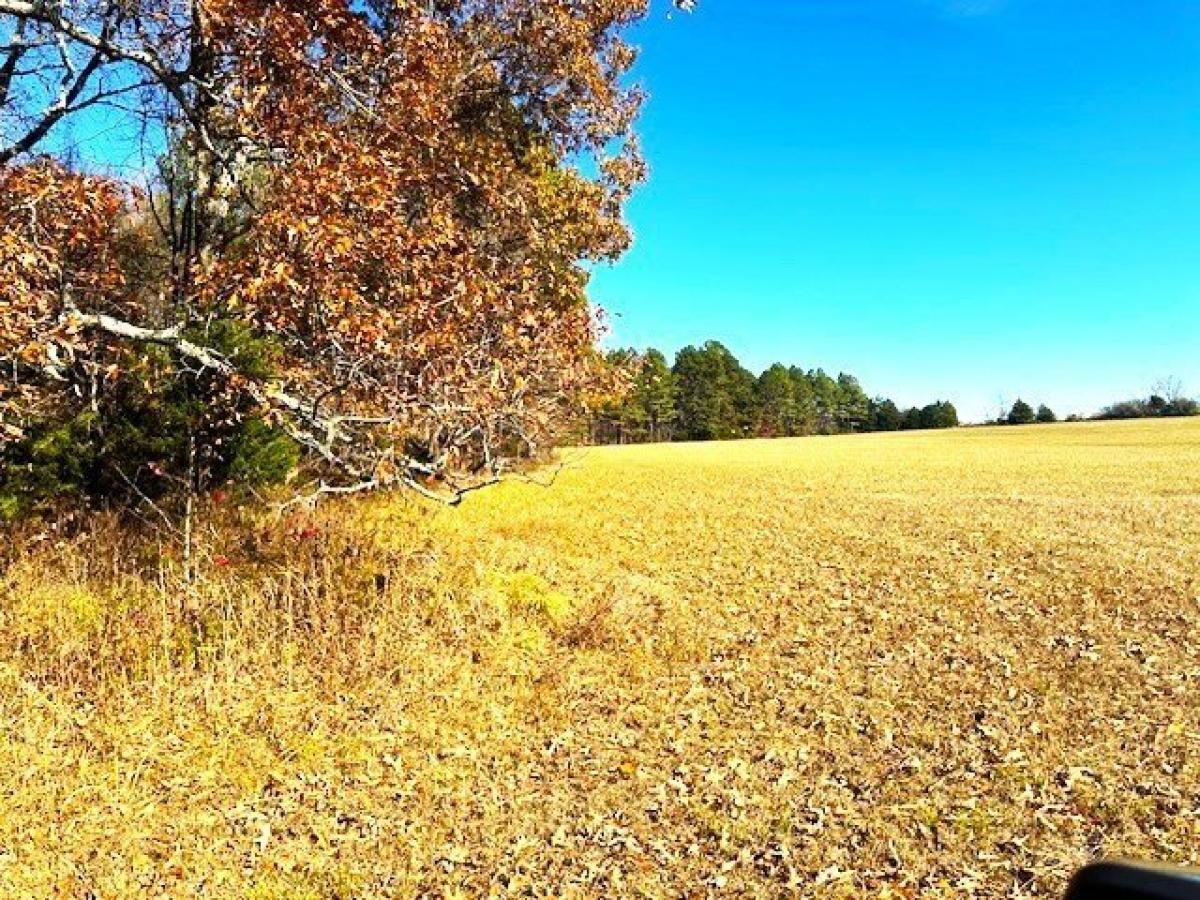 Picture of Residential Land For Sale in Oxford, Mississippi, United States