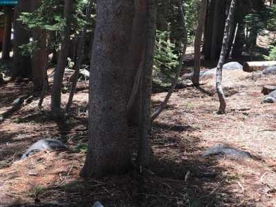 Residential Land For Sale in Soda Springs, California