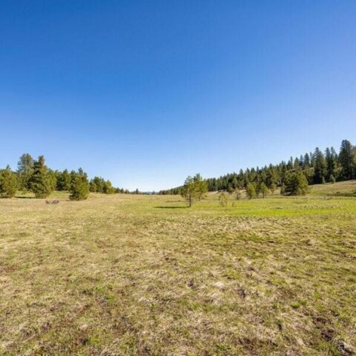 Picture of Residential Land For Sale in McCall, Idaho, United States