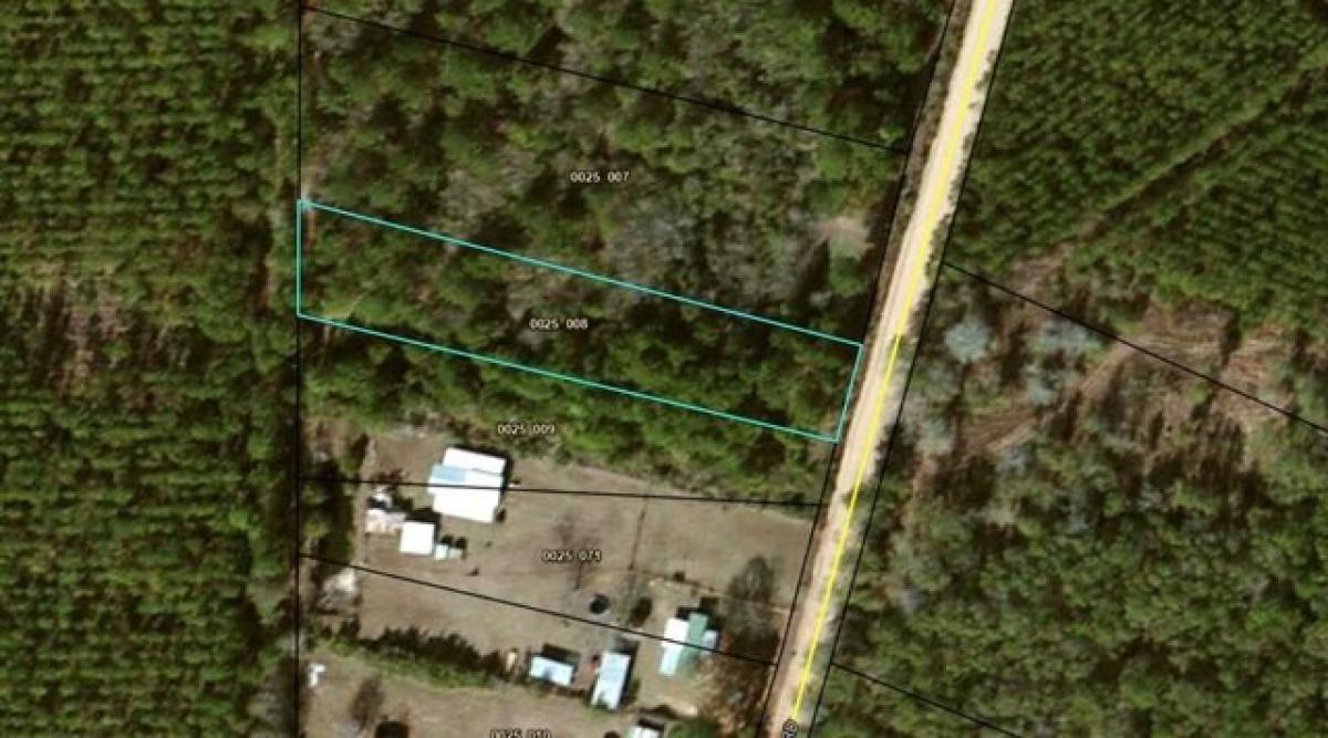 Picture of Residential Land For Sale in Adel, Georgia, United States