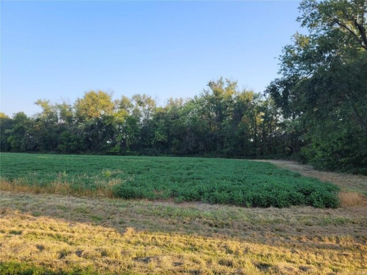 Picture of Residential Land For Sale in Bellflower, Missouri, United States