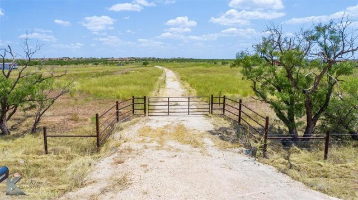 Picture of Residential Land For Sale in Merkel, Texas, United States