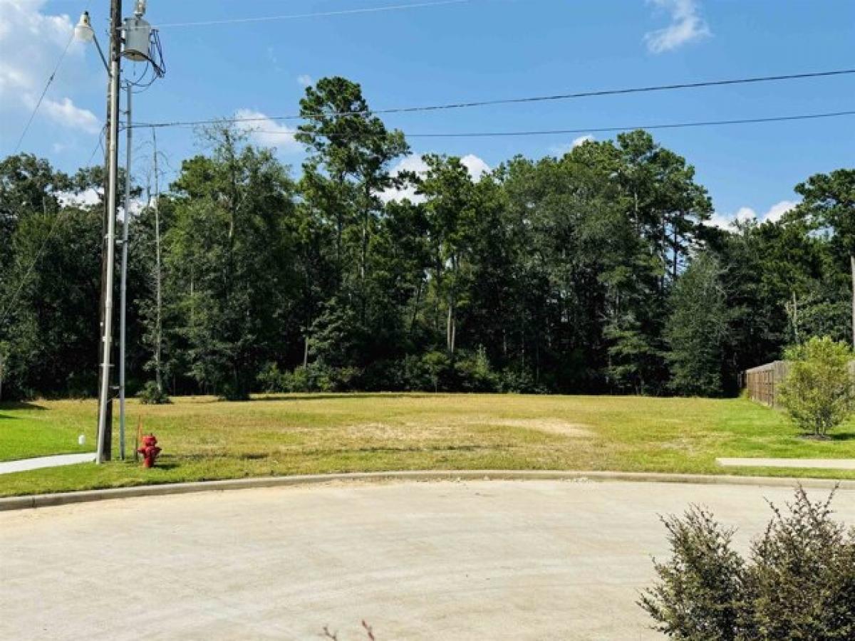 Picture of Residential Land For Sale in Lumberton, Texas, United States