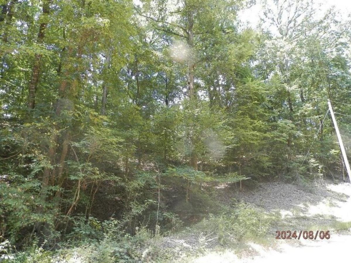 Picture of Residential Land For Sale in Waterloo, Alabama, United States