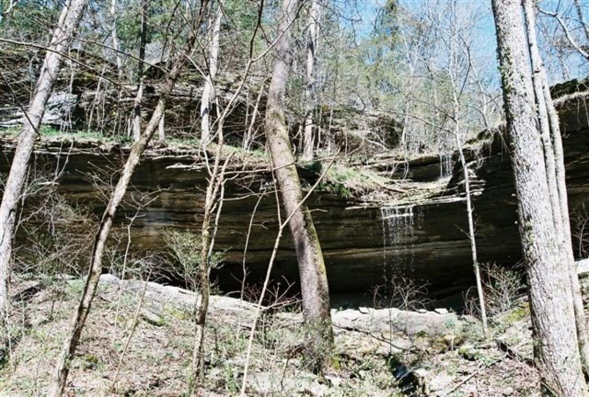 Picture of Residential Land For Sale in Garfield, Arkansas, United States