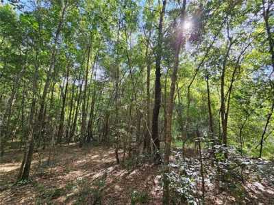 Residential Land For Sale in Williston, Florida