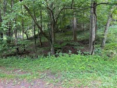 Residential Land For Sale in Burnsville, North Carolina