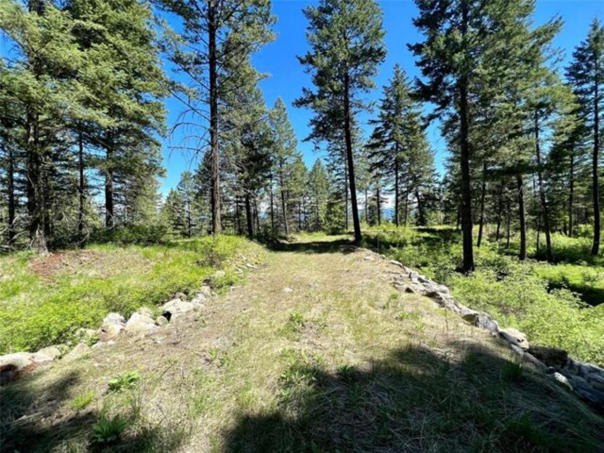 Picture of Residential Land For Sale in Lakeside, Montana, United States