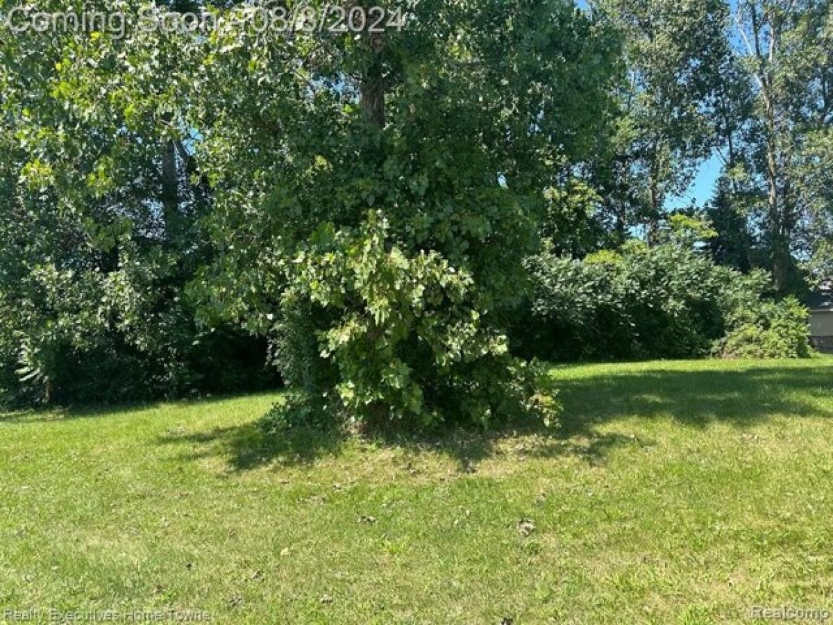 Picture of Residential Land For Sale in Marysville, Michigan, United States