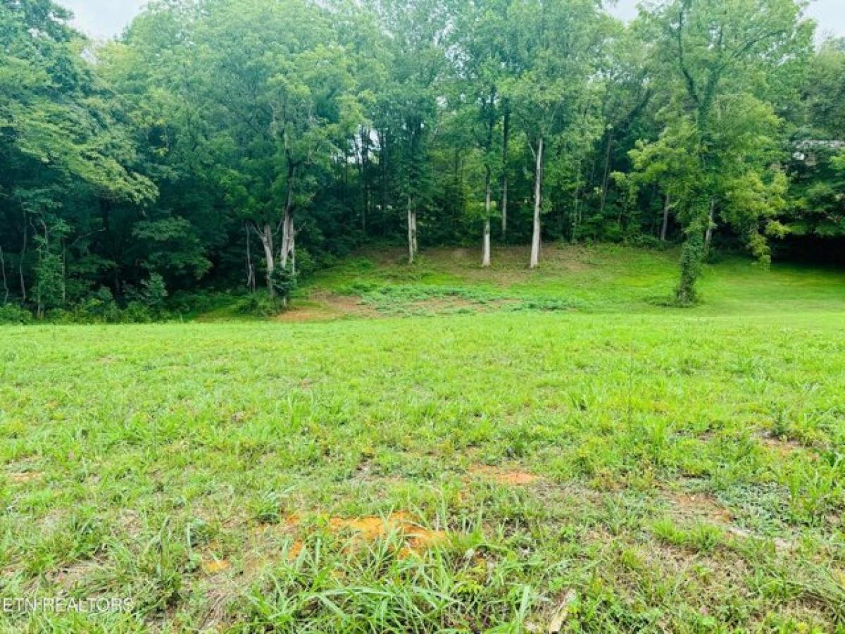 Picture of Residential Land For Sale in Parrottsville, Tennessee, United States