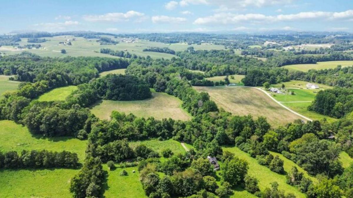 Picture of Residential Land For Sale in Nancy, Kentucky, United States