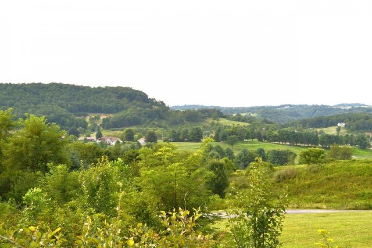 Picture of Residential Land For Sale in Peterstown, West Virginia, United States